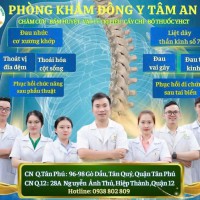 Đội ngũ Y-Bác sĩ